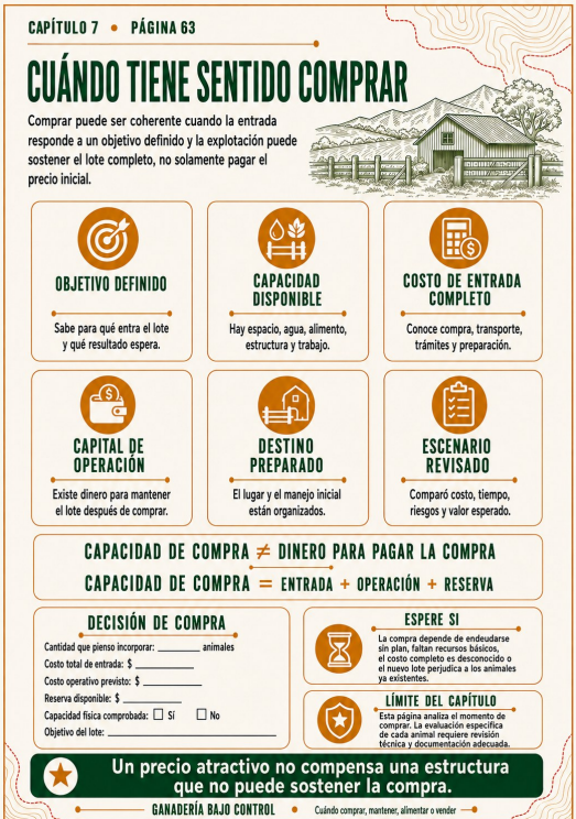 Captura de tela 2026-08-03 092948